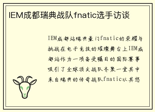 IEM成都瑞典战队fnatic选手访谈