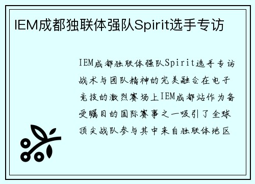 IEM成都独联体强队Spirit选手专访