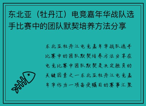 东北亚（牡丹江）电竞嘉年华战队选手比赛中的团队默契培养方法分享